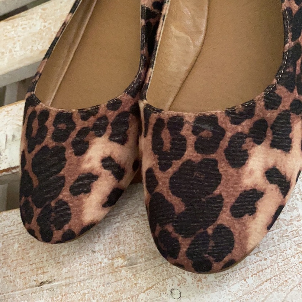 Steve Madden Leopard Print Flats in Brown and Black - Picture 2 of 8